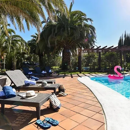 Madronal Santa Brigida (Gran Canaria)